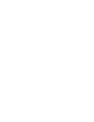 instagram (2).png